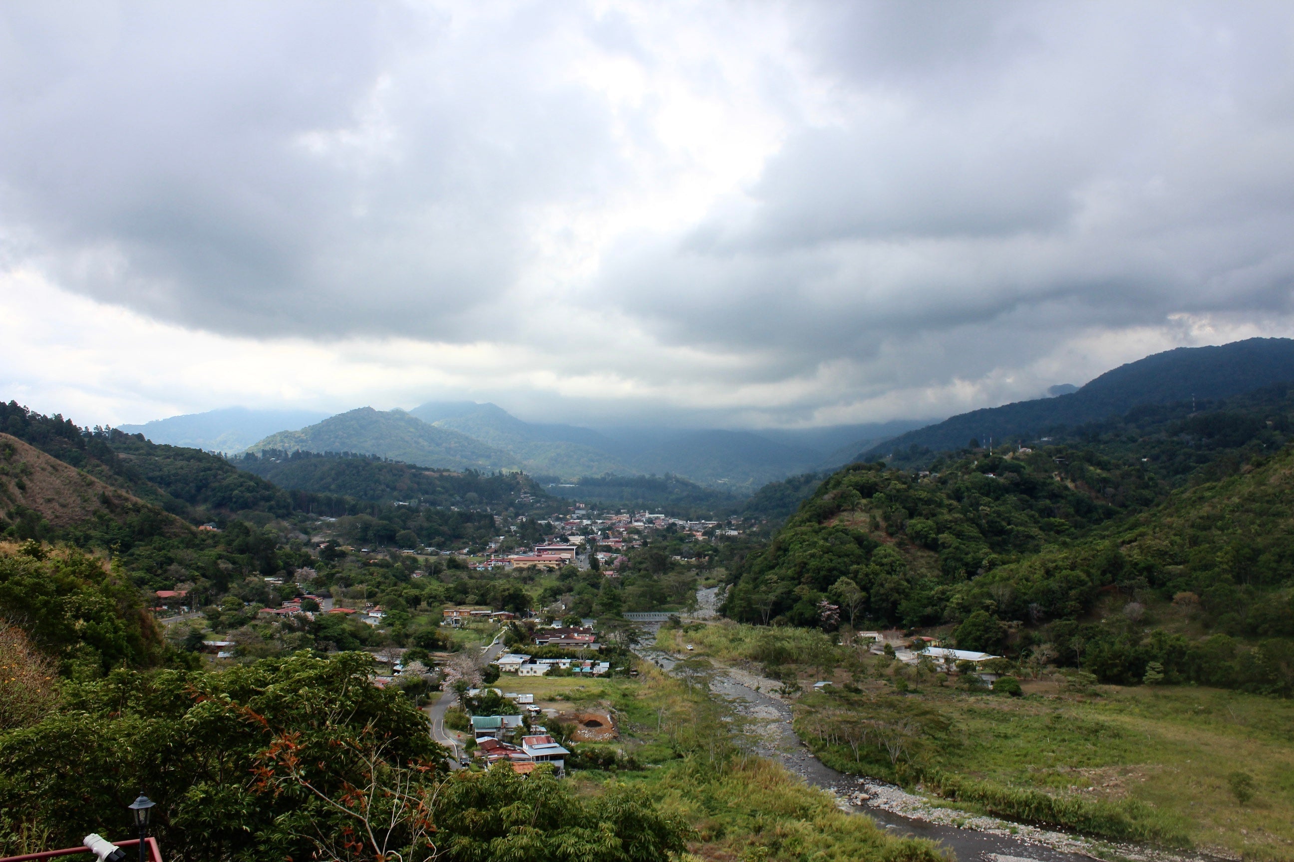 The Story of Coffee in Panama