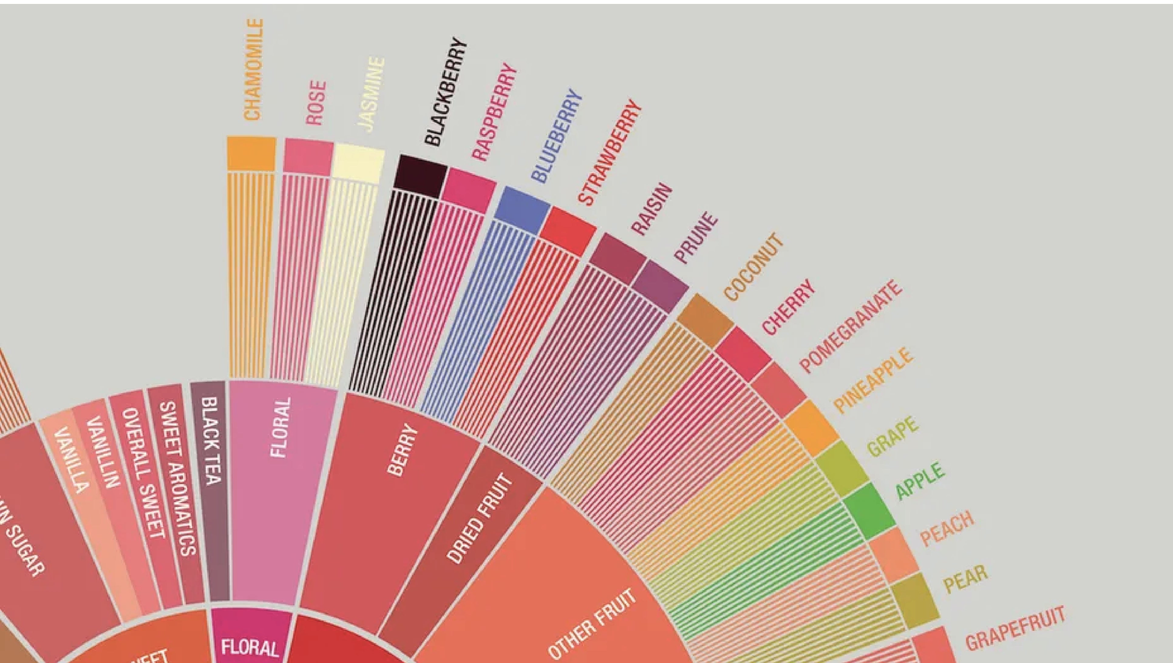 The Coffee Tasting Wheel