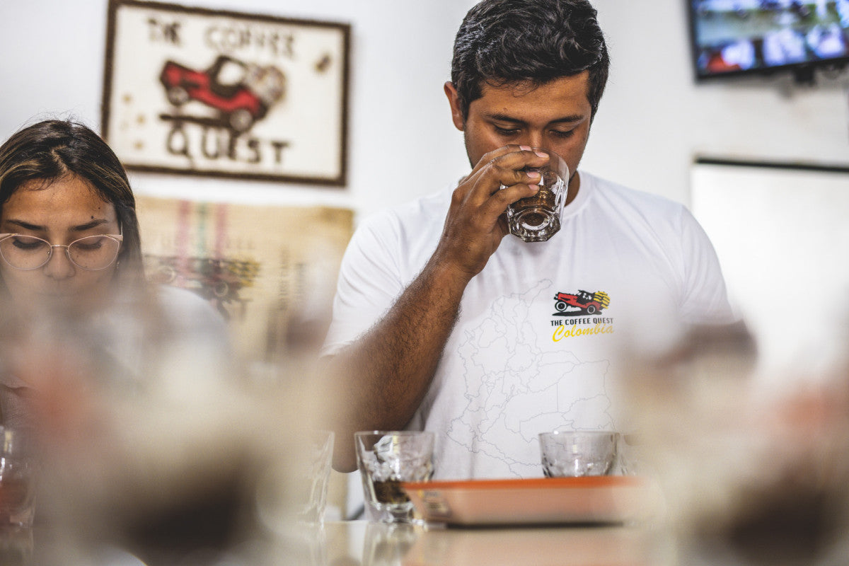 The Pearls | Single Origin