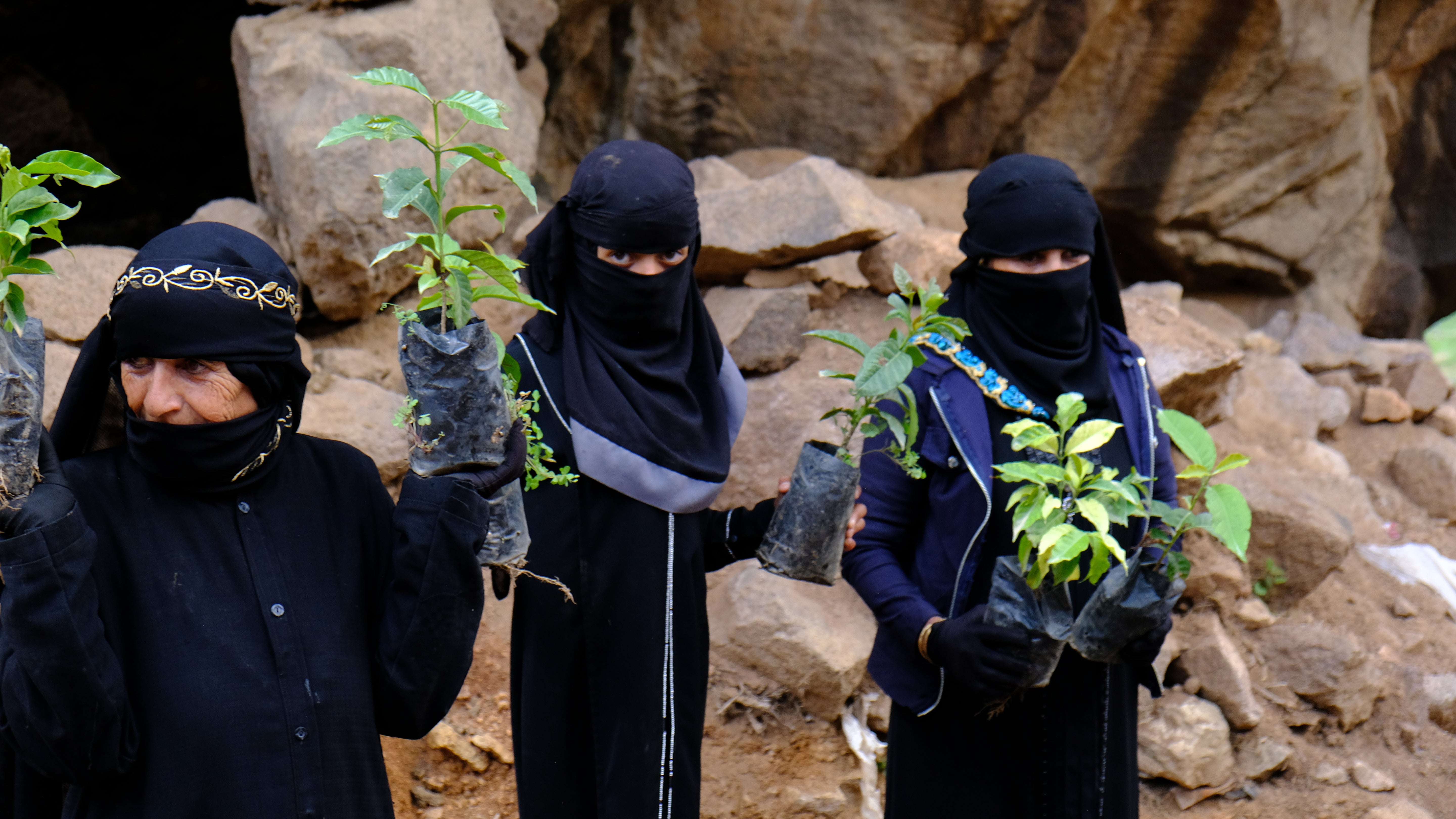 Yemenia & Kent | Rarities