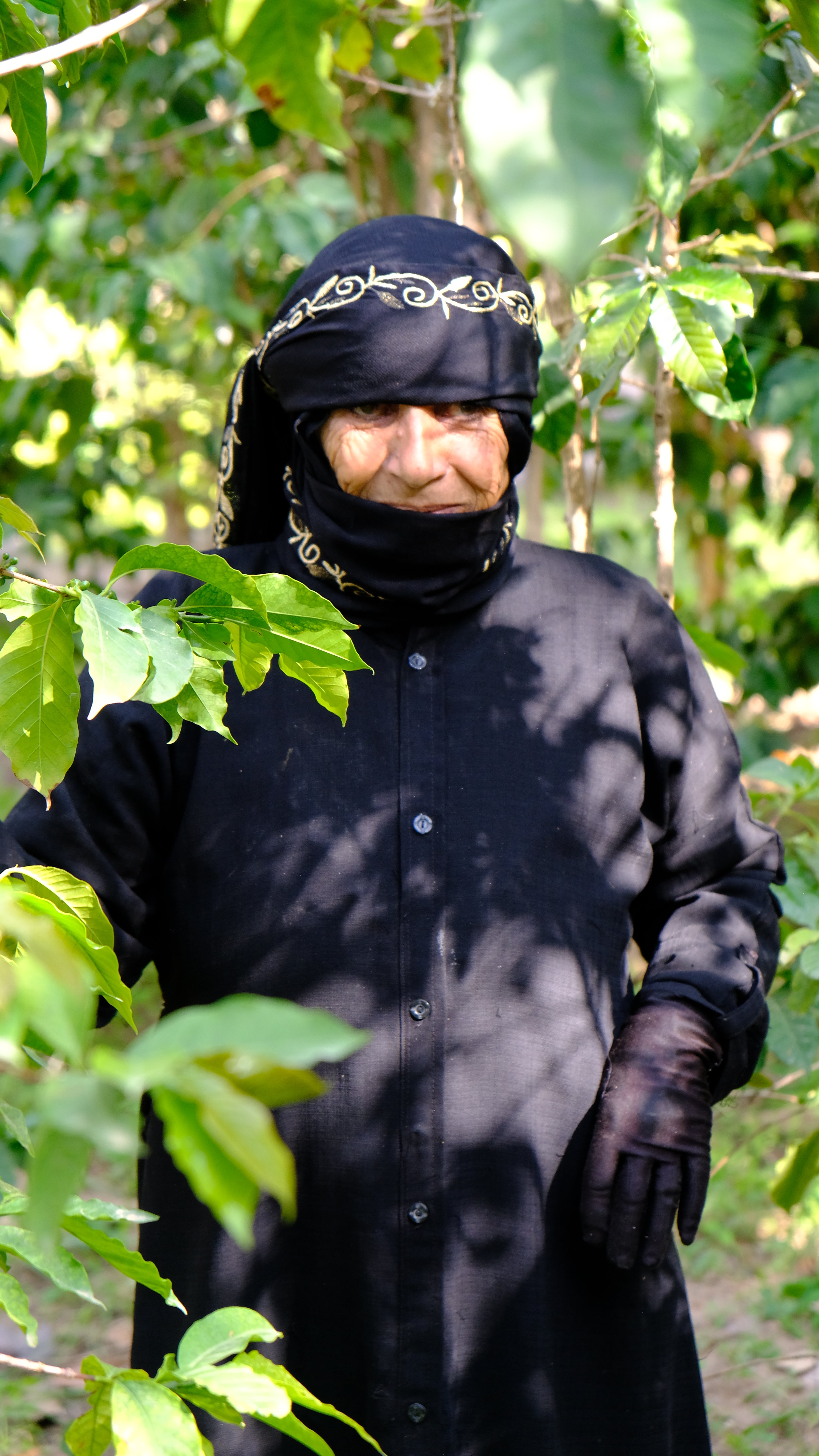 Yemenia & Kent | Rarities