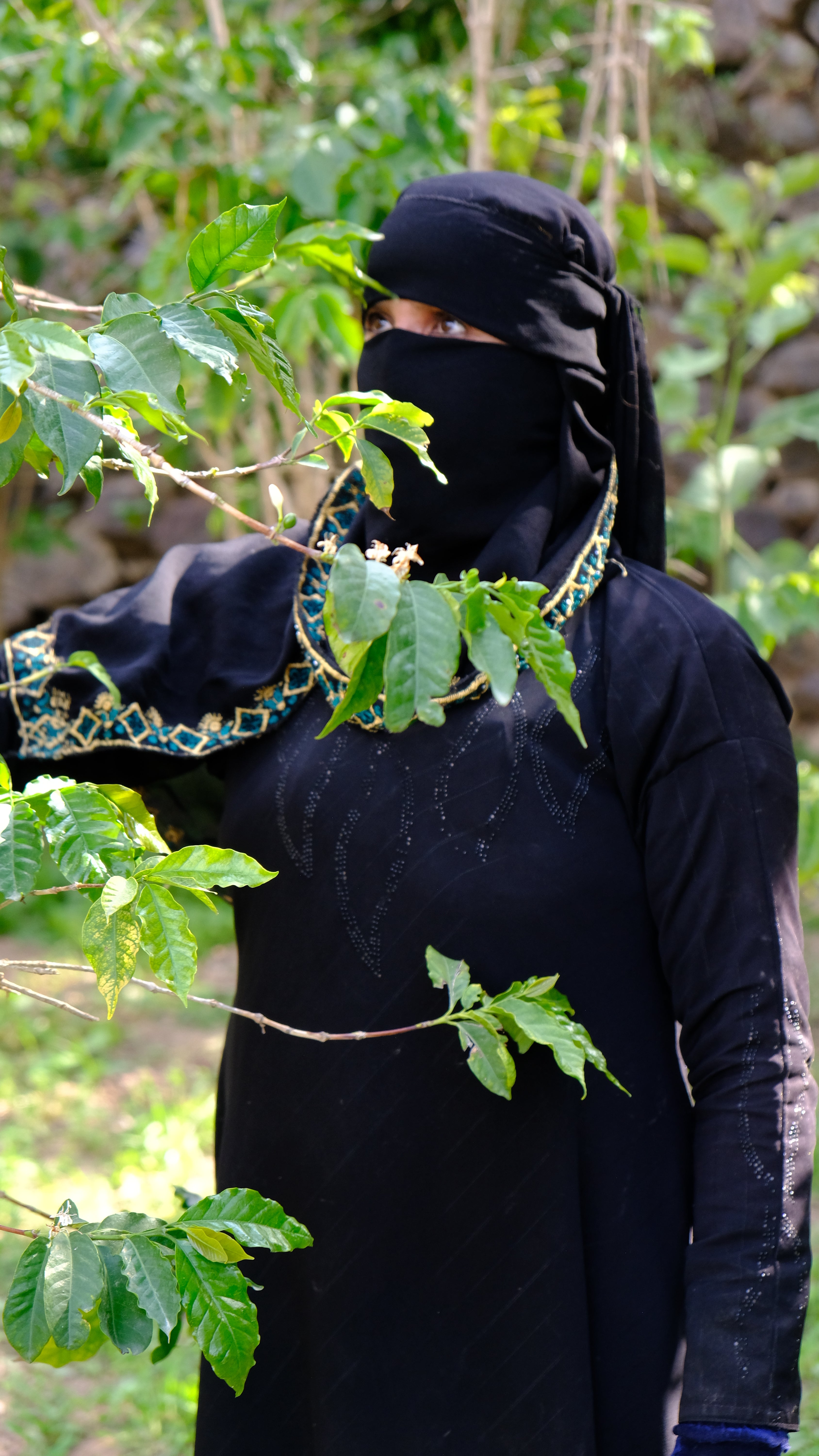 Yemenia & Kent | Rarities