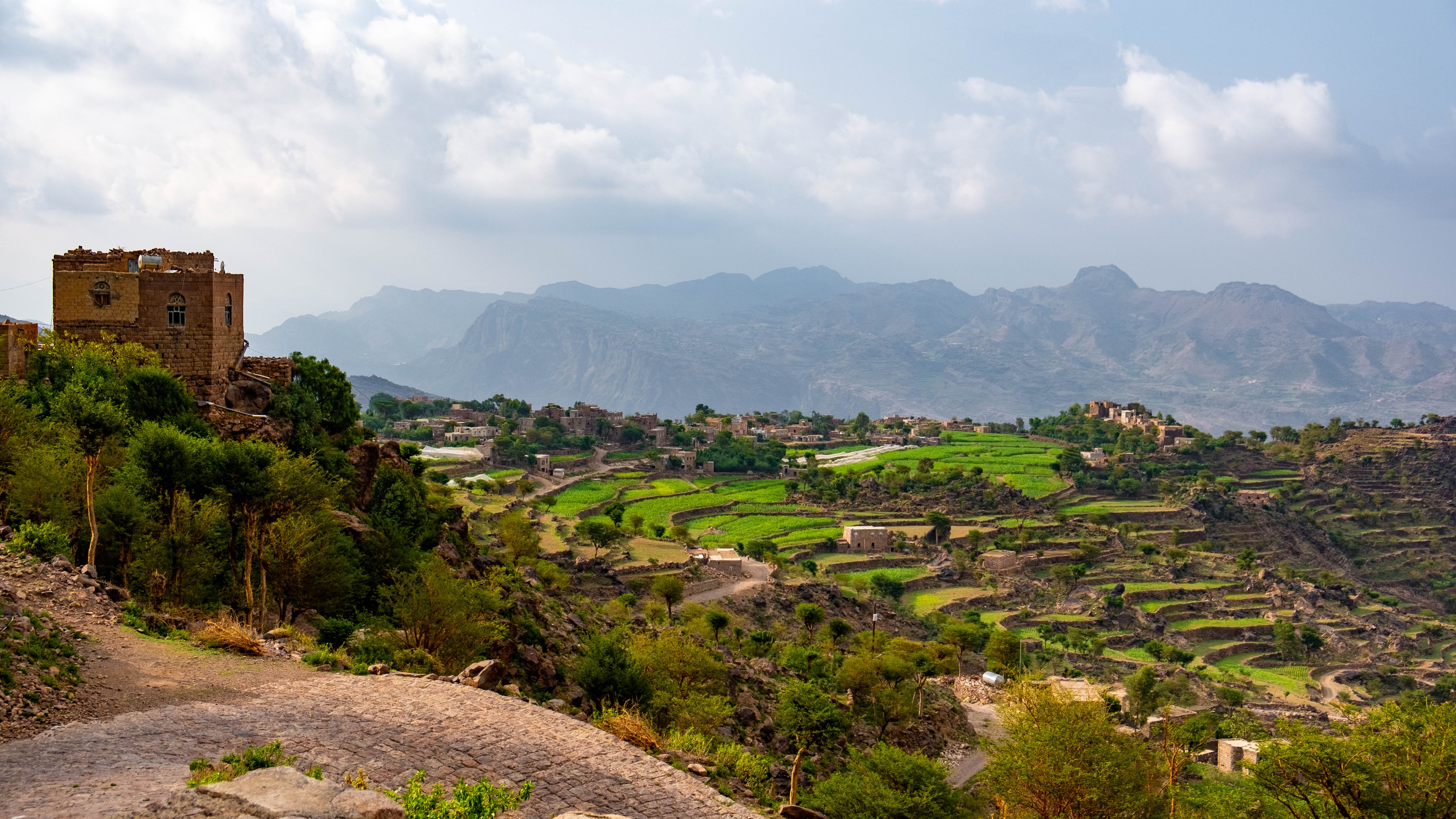 Yemenia & Kent | Rarities