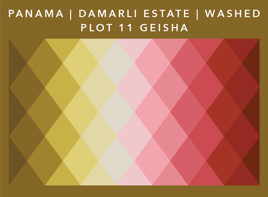 Panama Damarli Estate | Roasted Collection