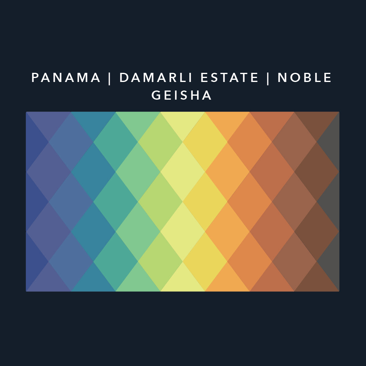 Panama Geisha | Direct Trade