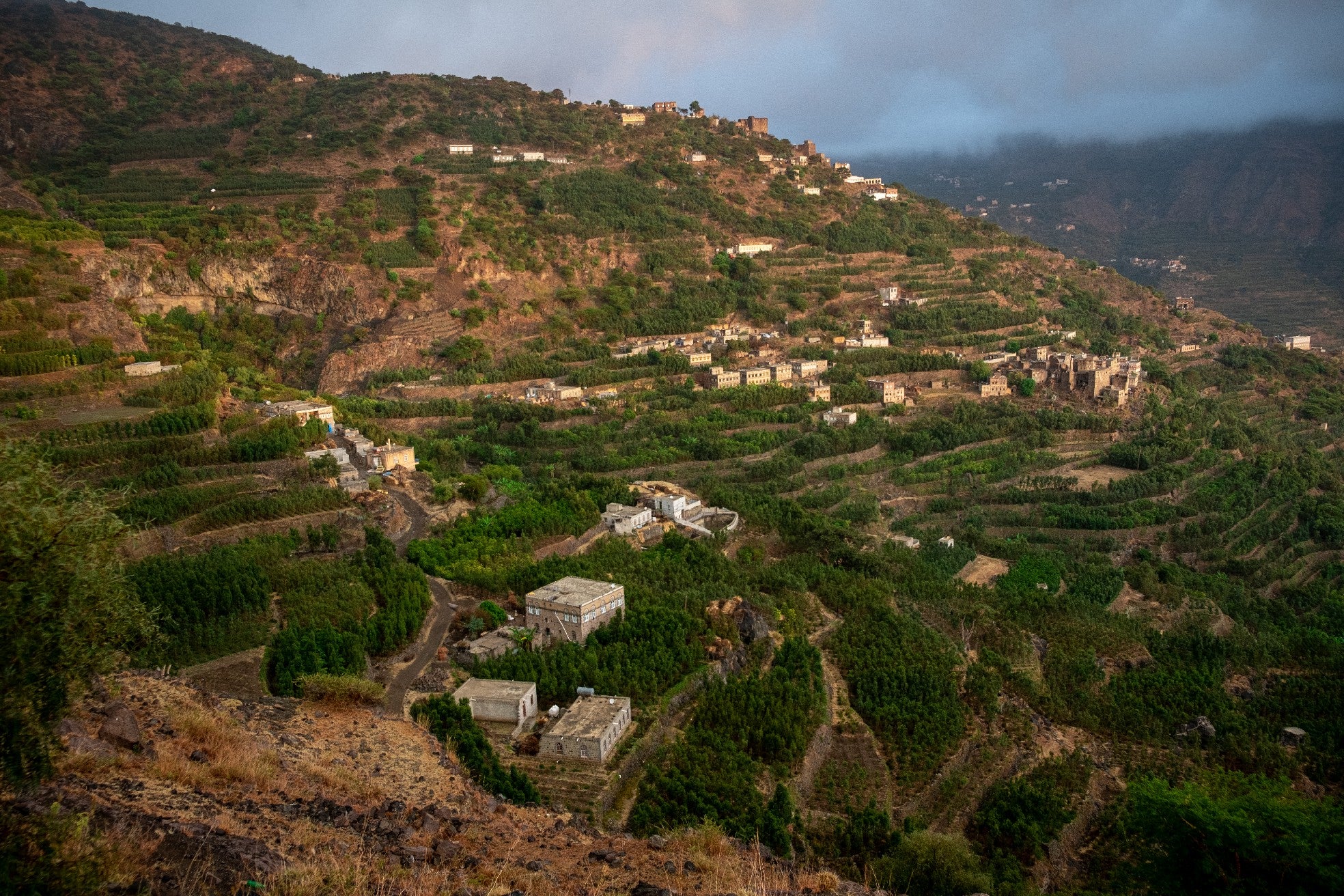 Yemenia & Kent | Rarities