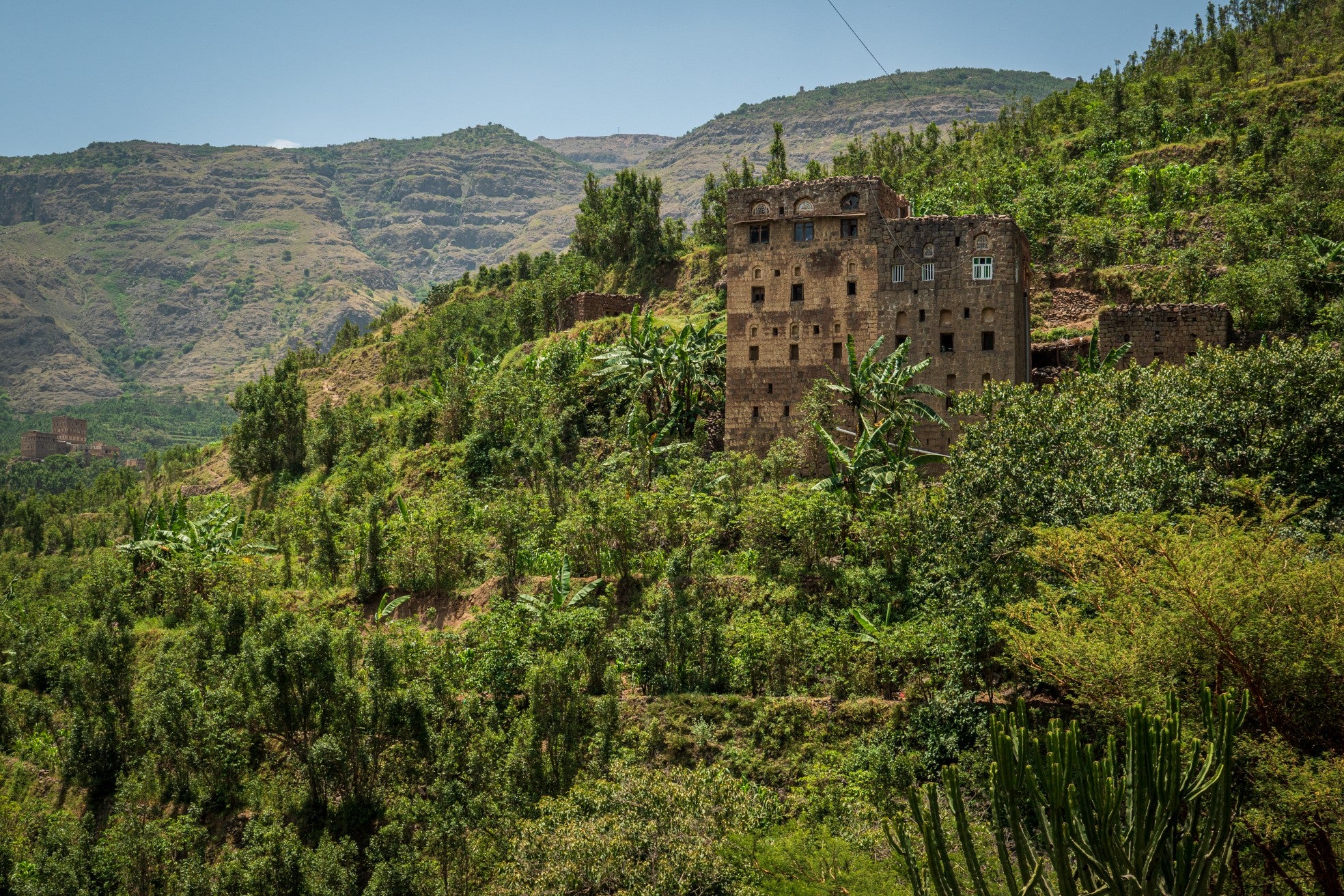 Yemenia & Kent | Rarities