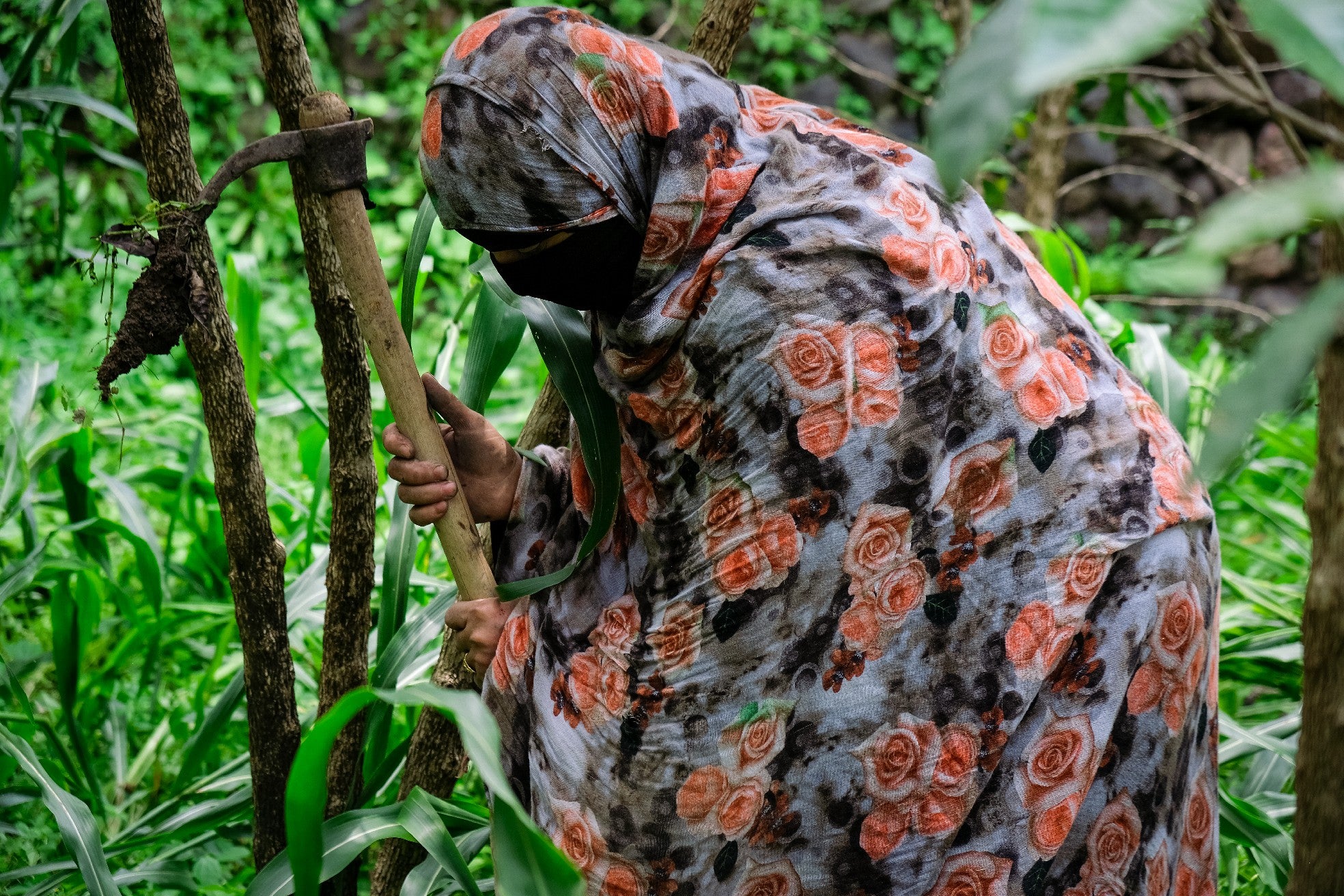 Yemenia & Kent | Rarities