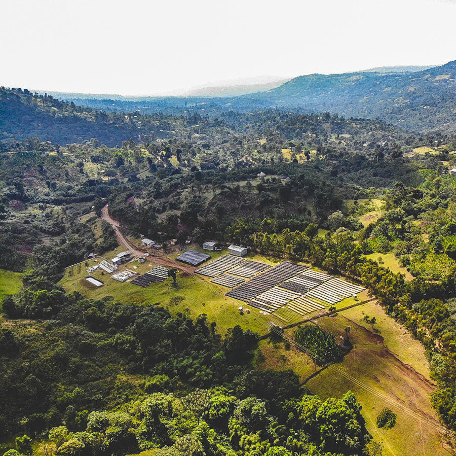 The Seraph | Ethiopia