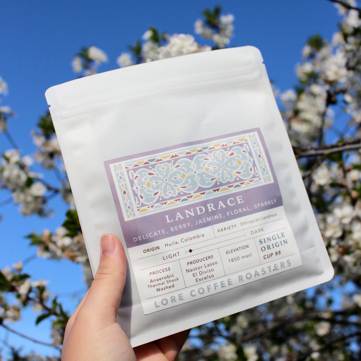 Ethiopian Landrace, Nestor Lasso | From the Vault