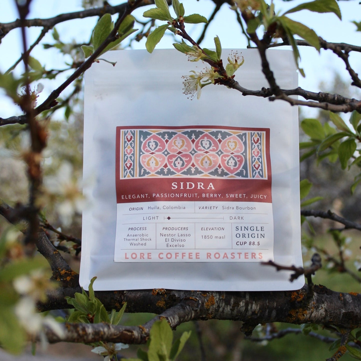 Sidra Bourbon, Nestor Lasso | From the Vault - 8 oz