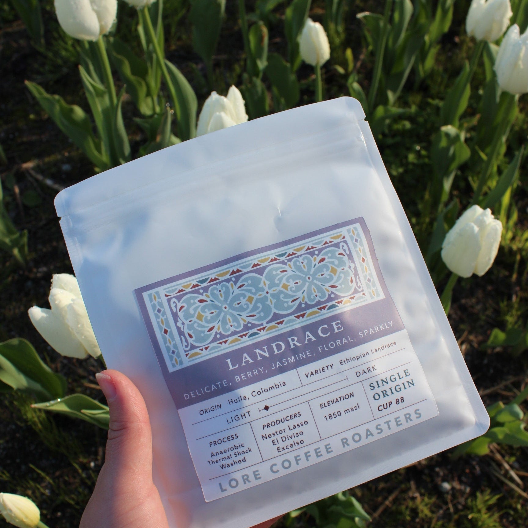 Ethiopian Landrace, Nestor Lasso | From the Vault - 8oz