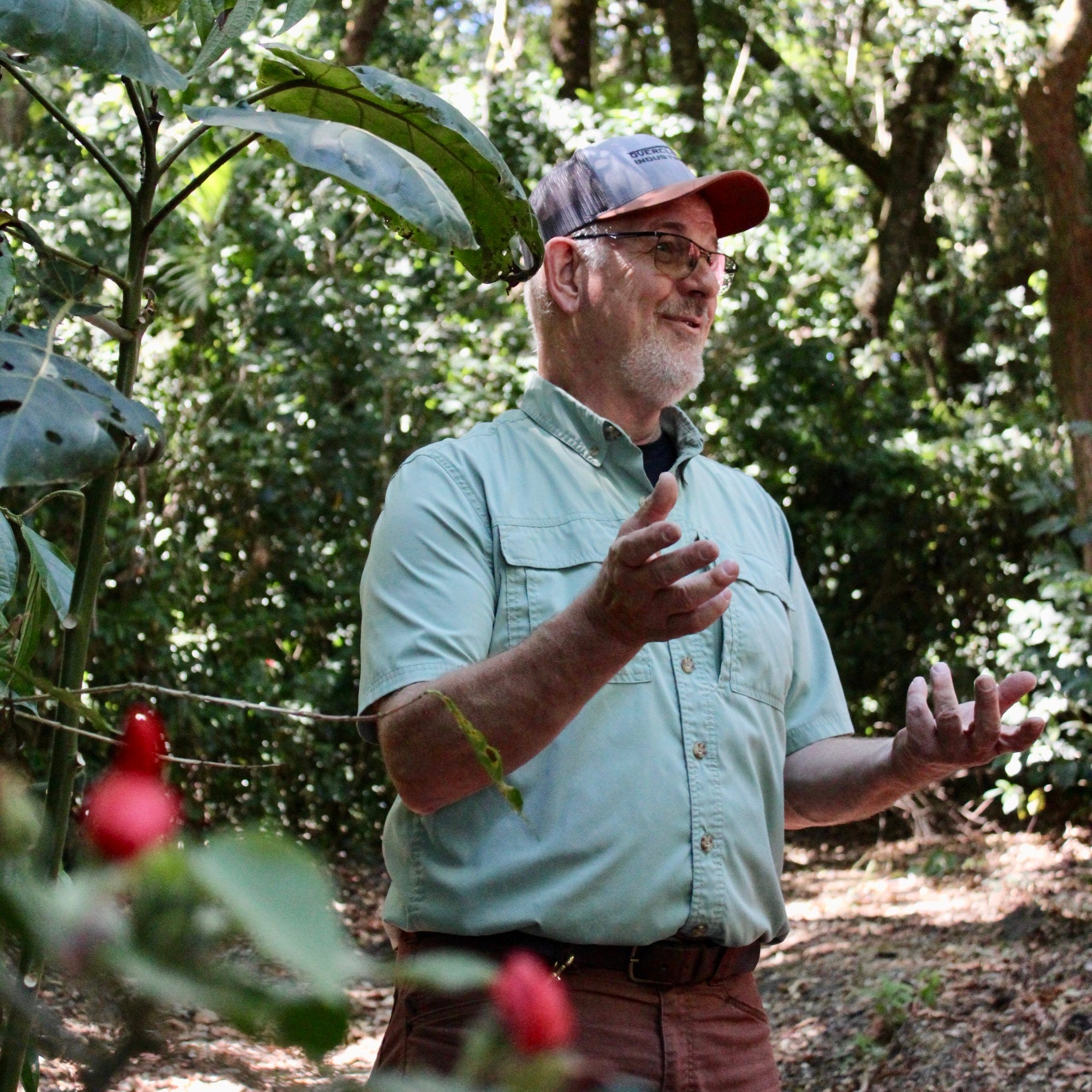 Panama Damarli Estate | Roasted Collection