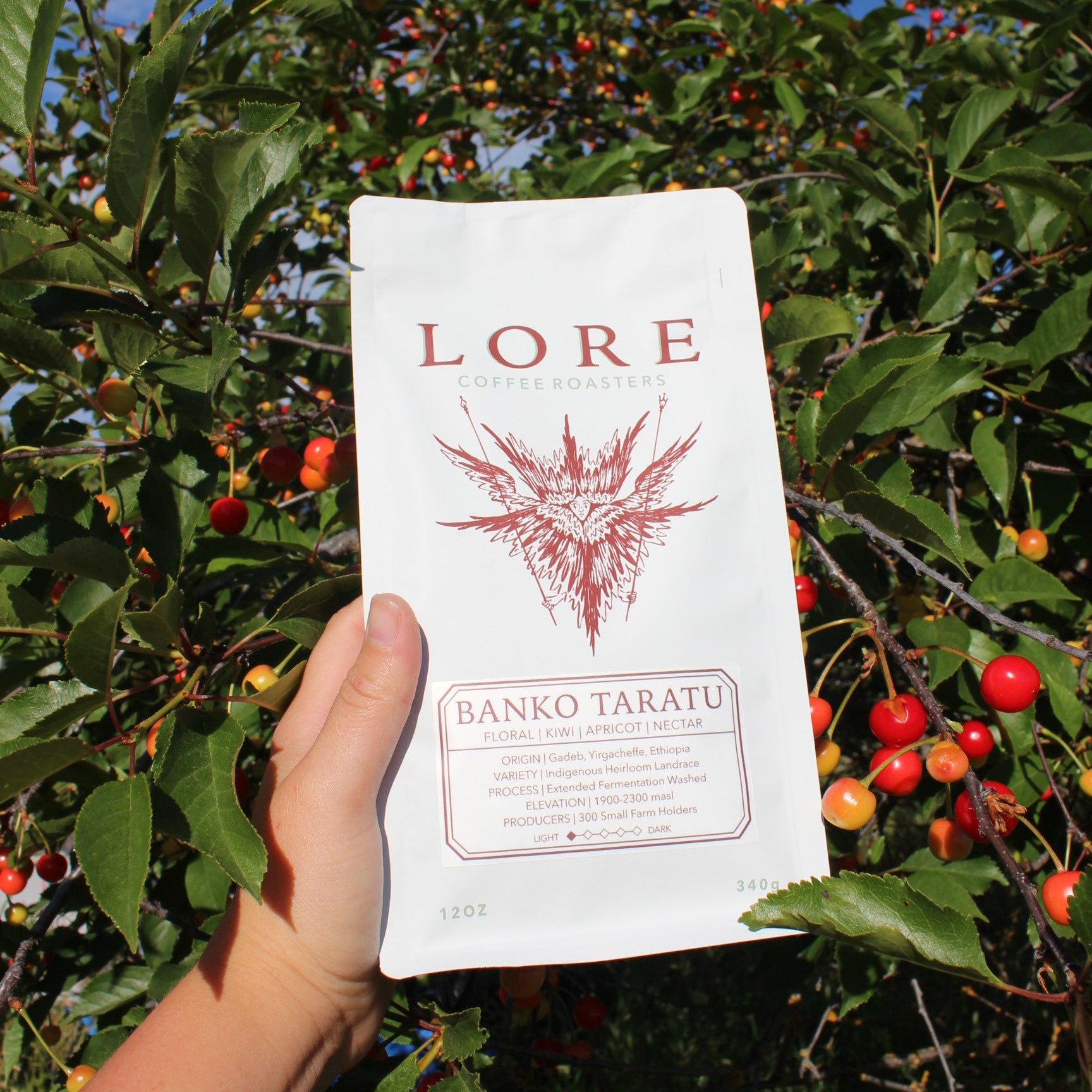 Banko Taratu | Single Origin