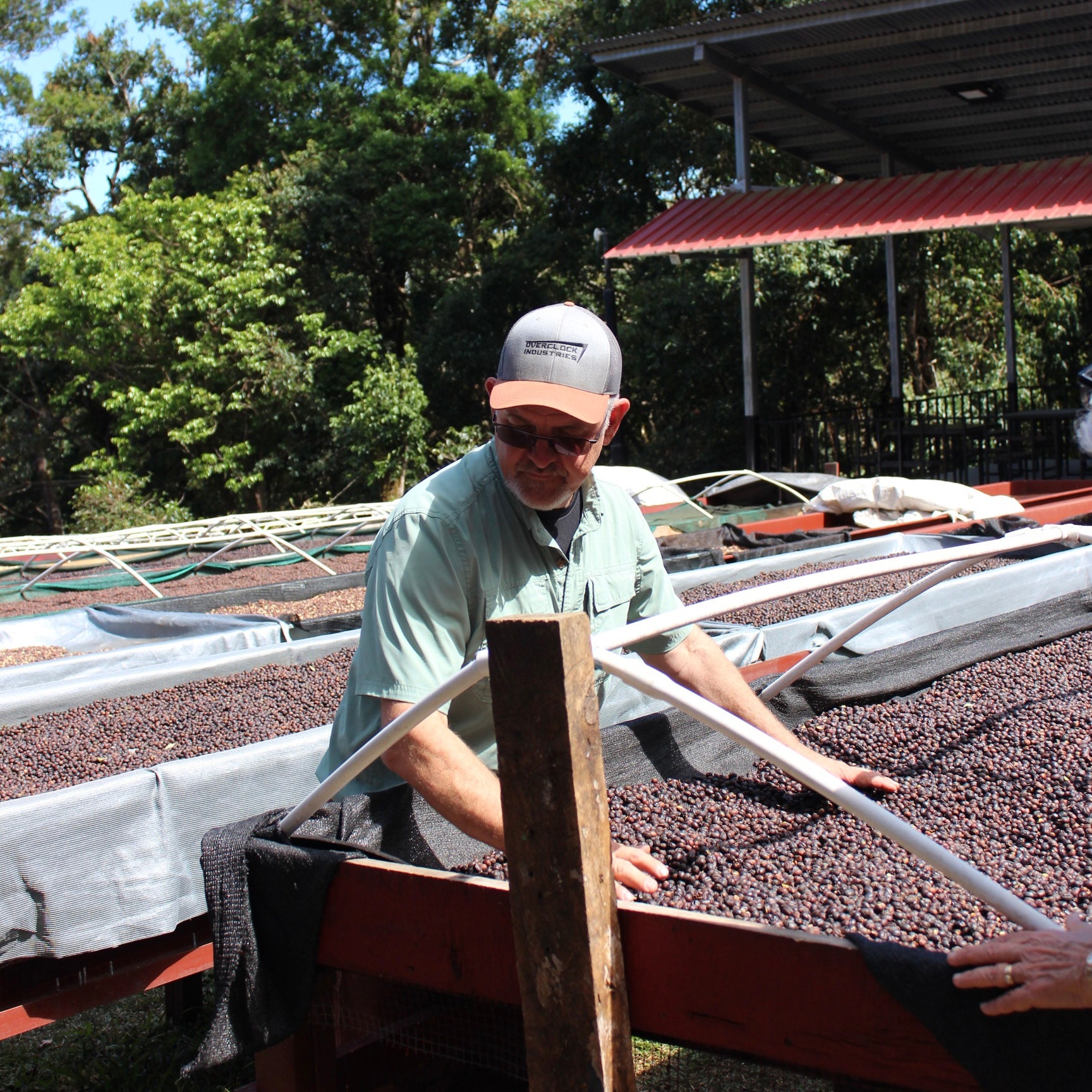 Panama Geisha | Direct Trade