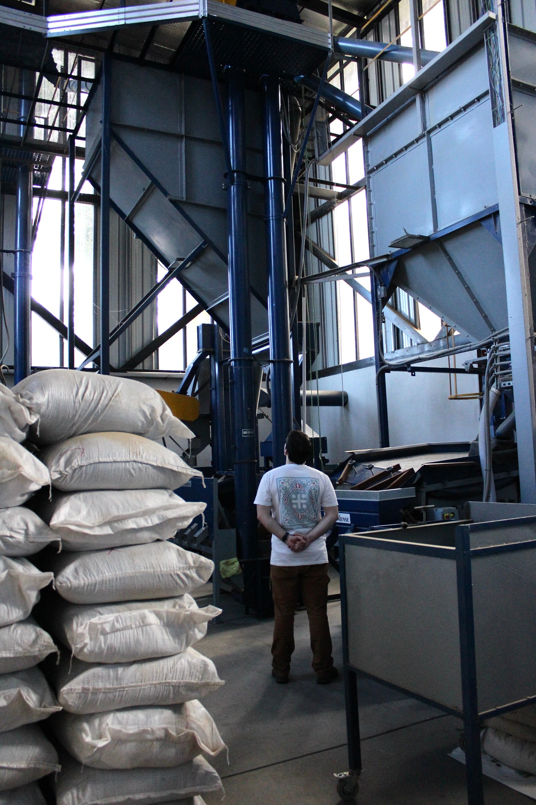 Lore | Graphic Shirt