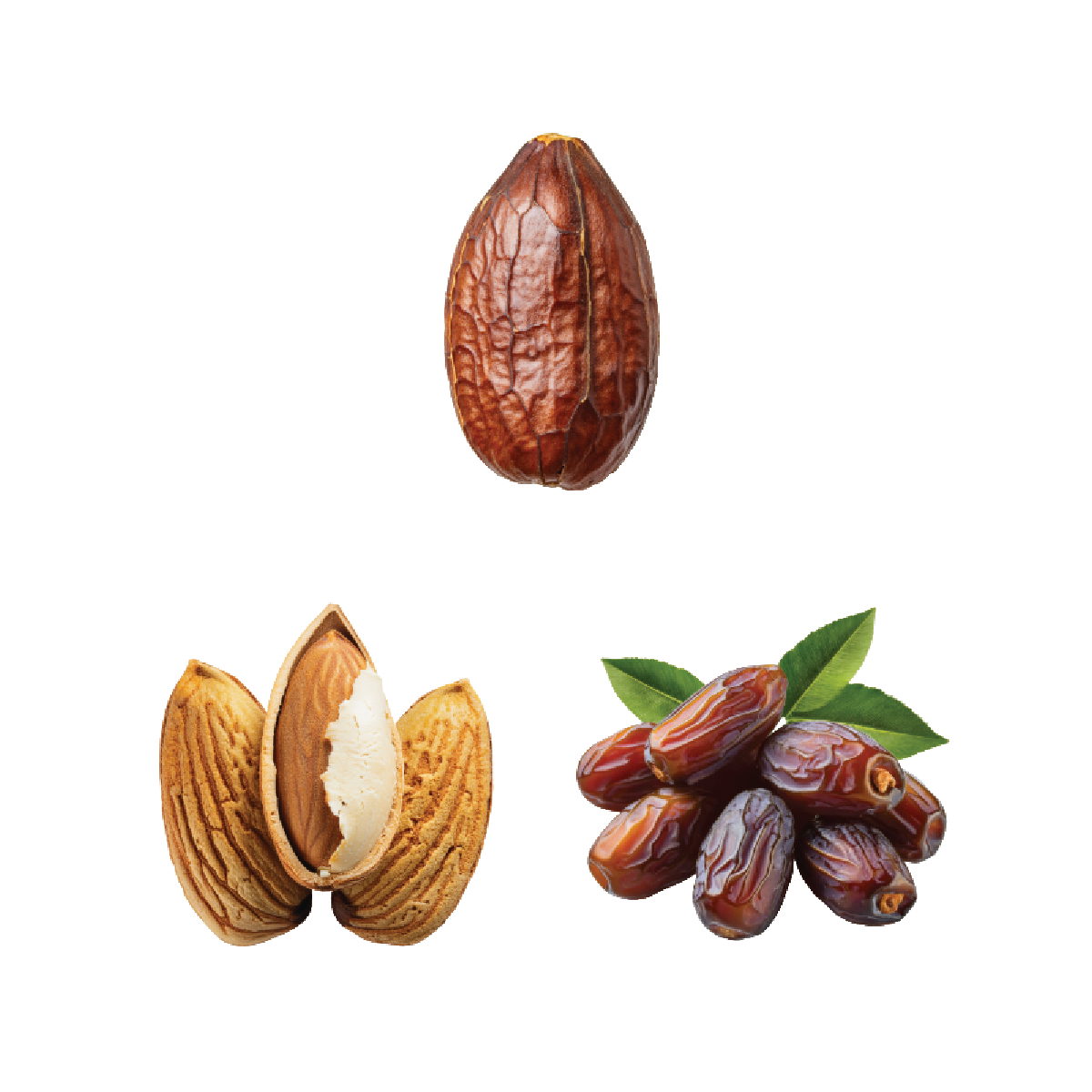 Swiss Water Decaf