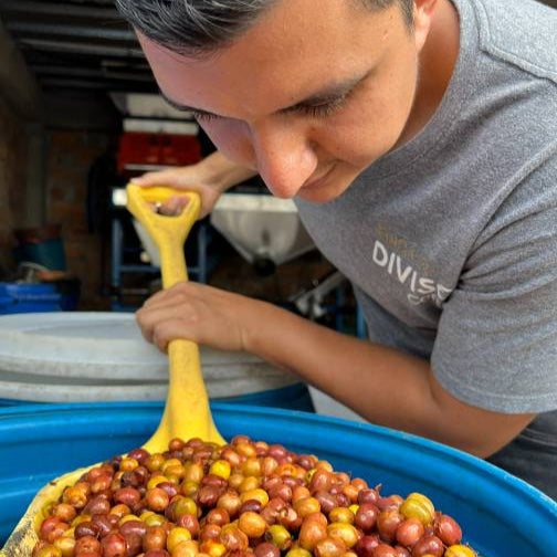 Ethiopian Landrace, Nestor Lasso | From the Vault