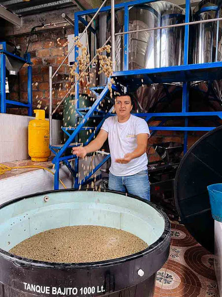 The Dane | Single Origin