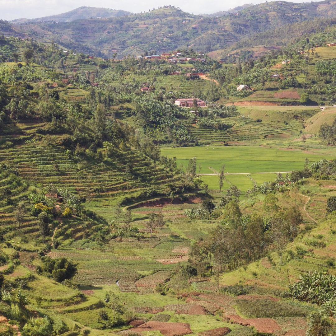 Nyabumera Site | Rwanda
