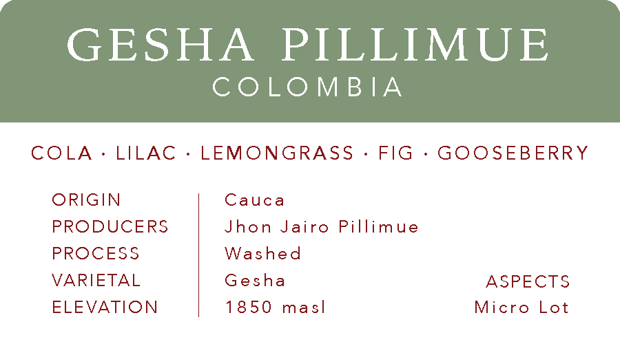 Gesha Pillimue | Colombia