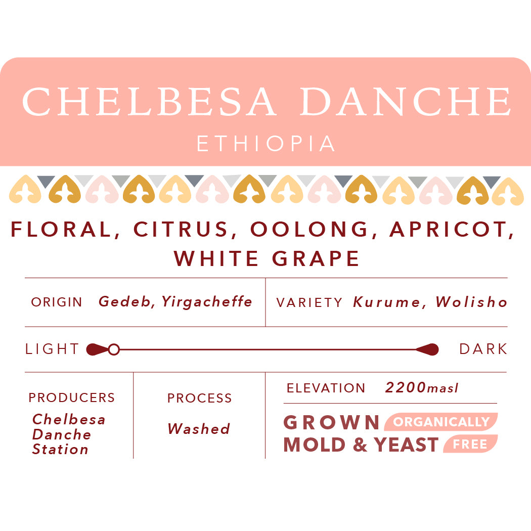 Chelbesa Danche | Single Origin