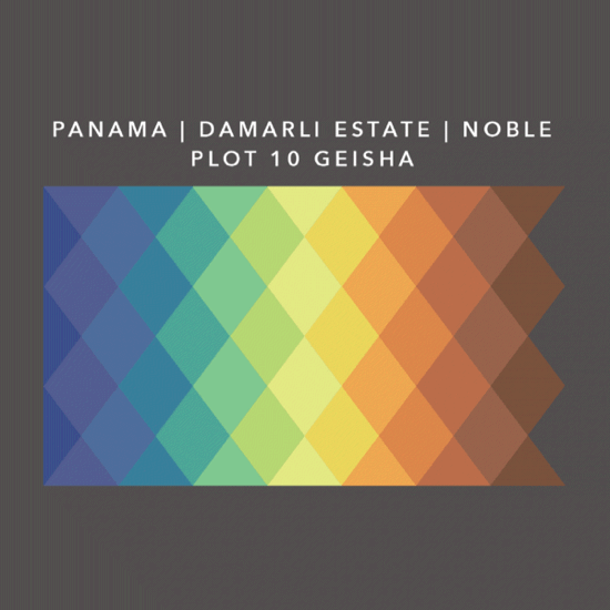 Panama Damarli Estate | Roasted Collection