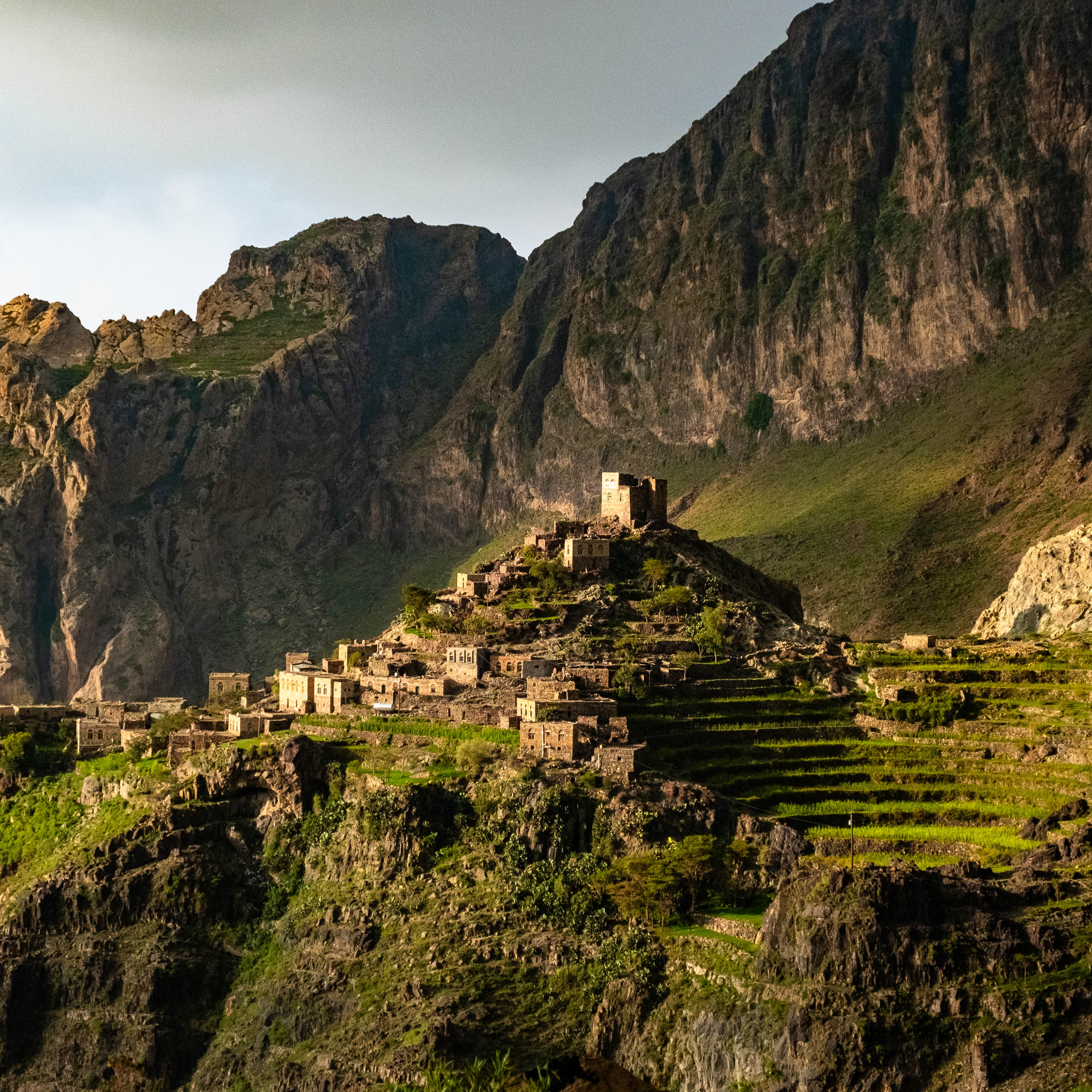 Yemenia & Kent | Rarities