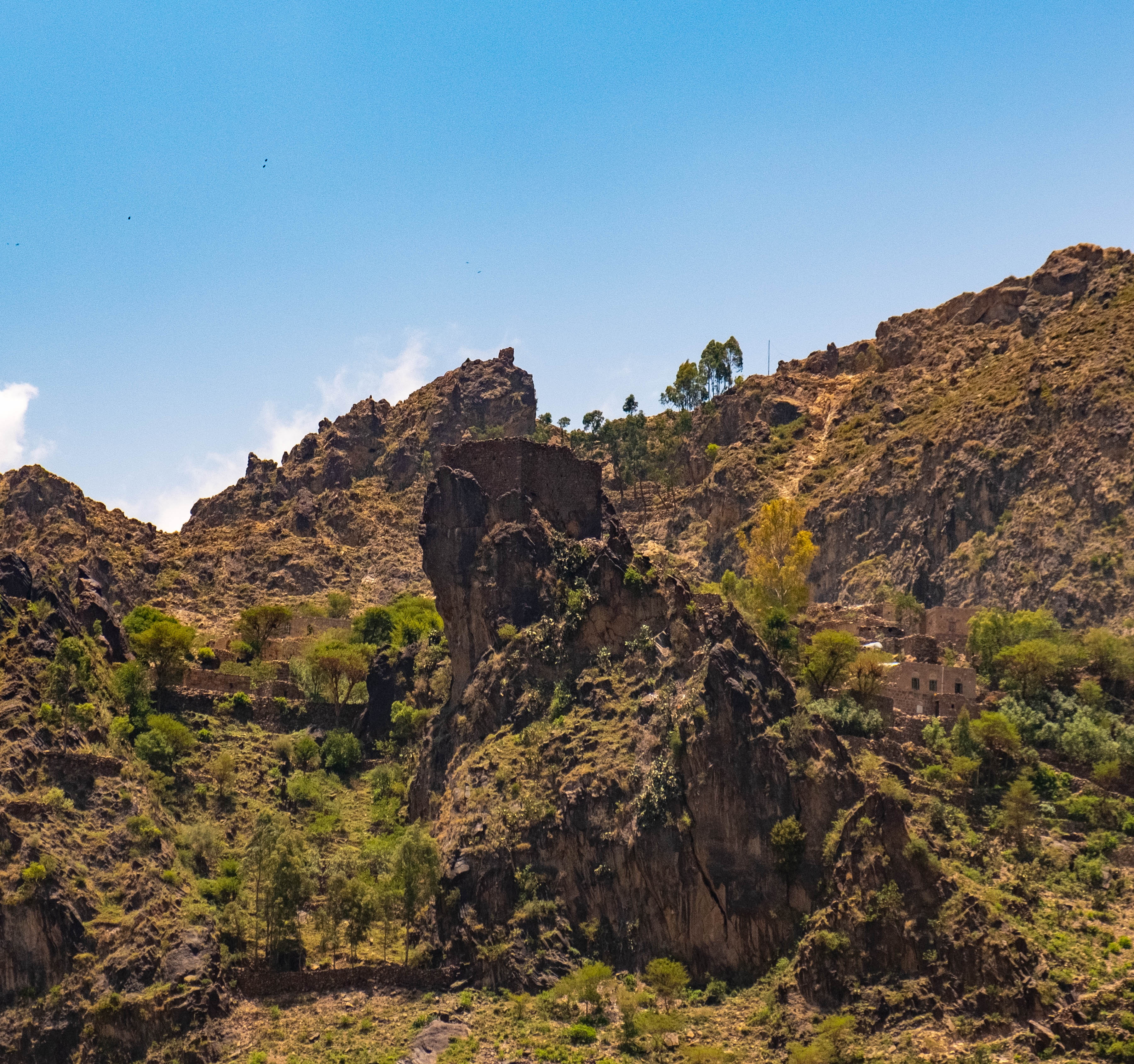 Yemenia & Kent | Rarities