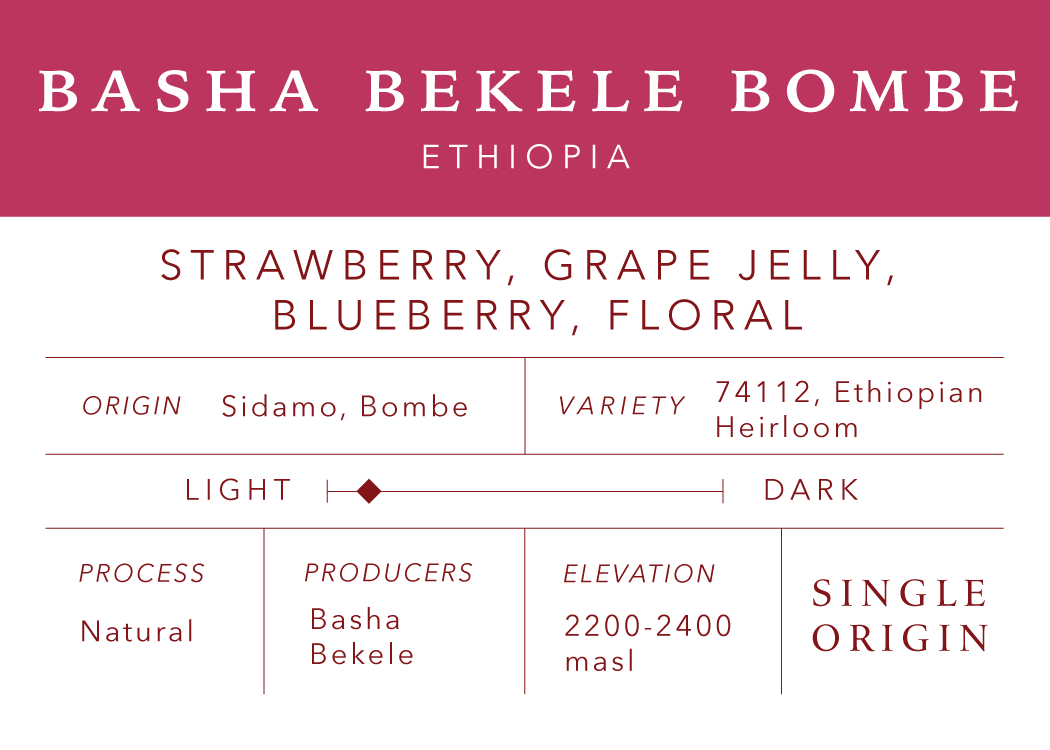 Basha Bekele | Single Origin