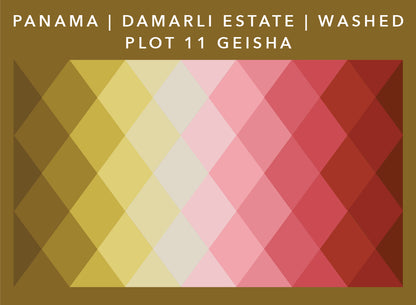Panama Damarli Estate | Roasted Collection