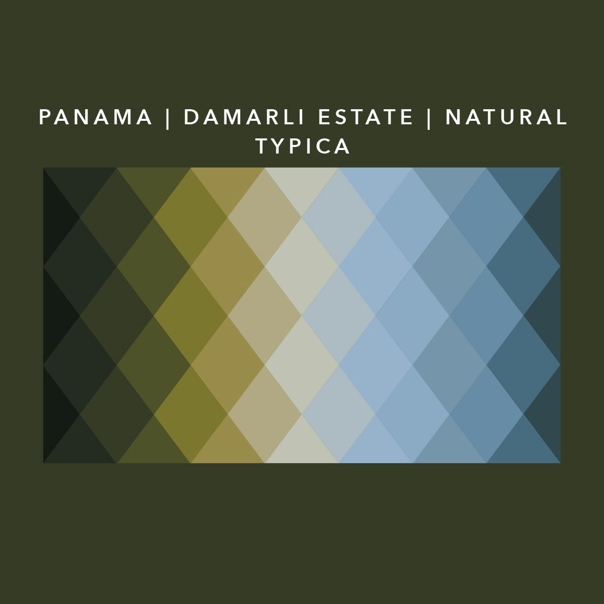 Panama Damarli Estate | Roasted Collection