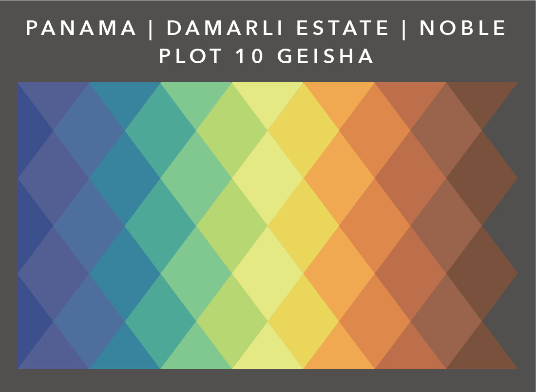 Panama Damarli Estate | Roasted Collection