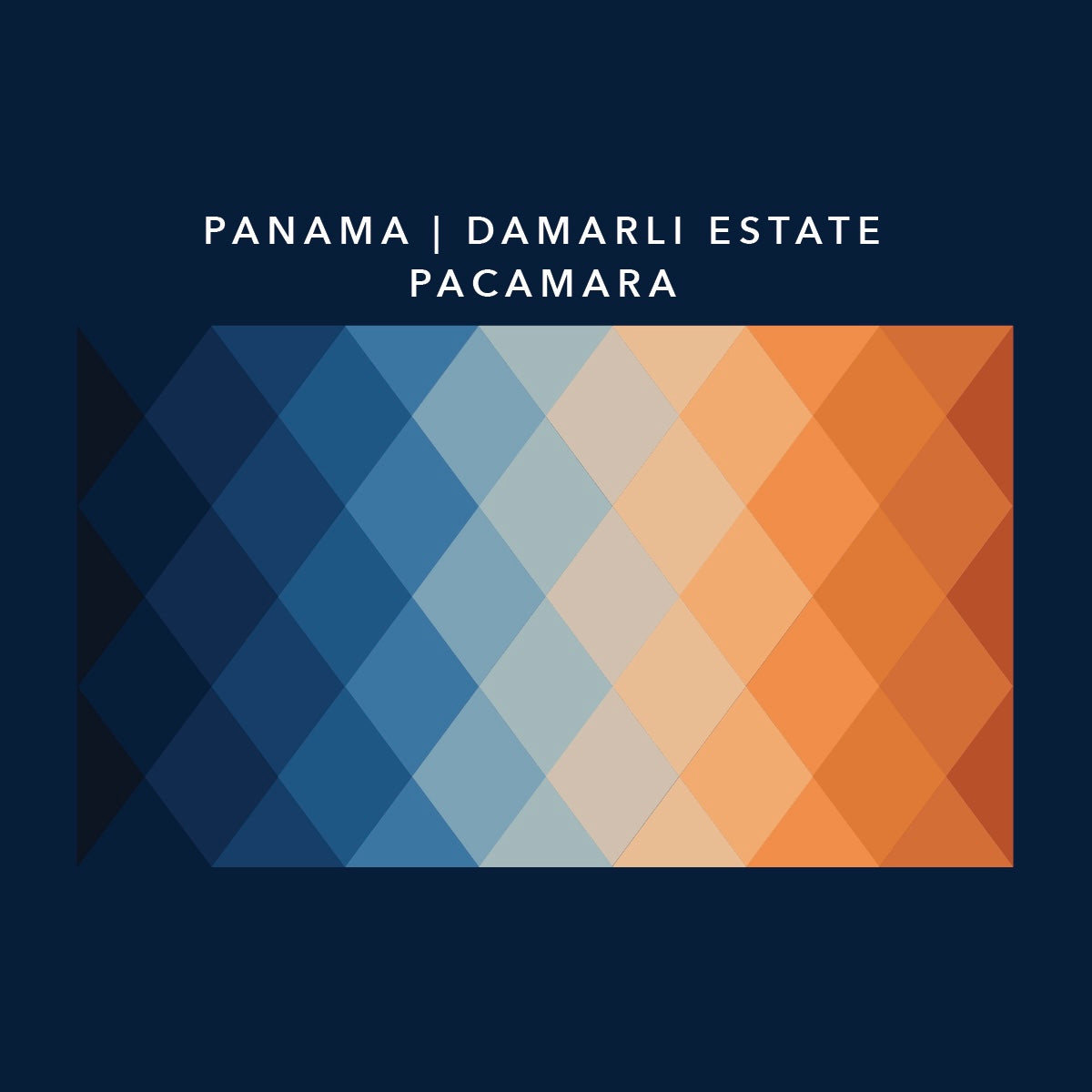 Panama Damarli Estate | Roasted Collection