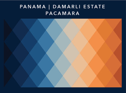 Panama Damarli Estate | Roasted Collection