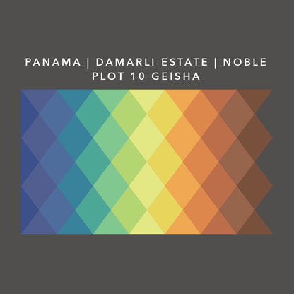 Panama Geisha | Direct Trade