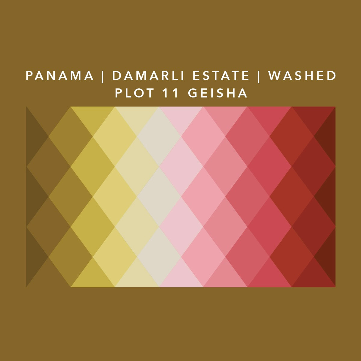 Panama Damarli Estate | Roasted Collection