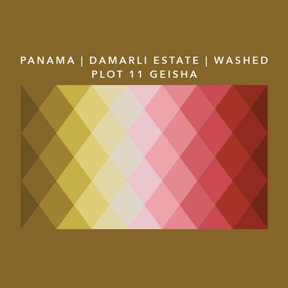 Panama Damarli Estate | Roasted Collection