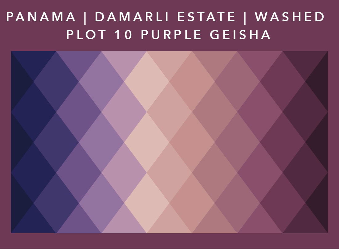 Panama Damarli Estate | Roasted Collection
