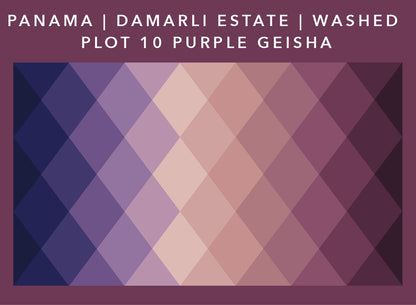 Panama Damarli Estate | Roasted Collection