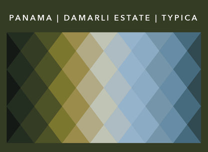 Panama Damarli Estate | Roasted Collection