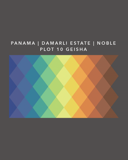 Panama Damarli Estate | Roasted Collection