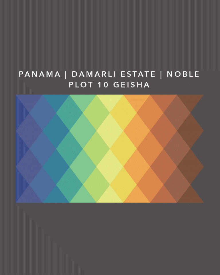 Panama Damarli Estate | Roasted Collection