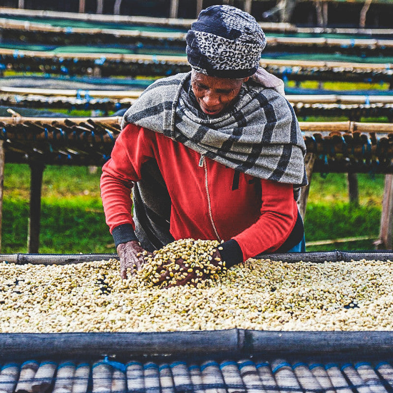 The Seraph | Ethiopia