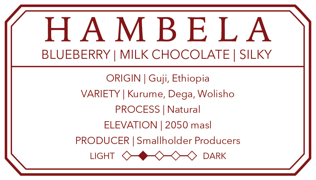 Hambela Guji | Single Origin