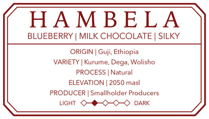 Hambela Guji | Single Origin