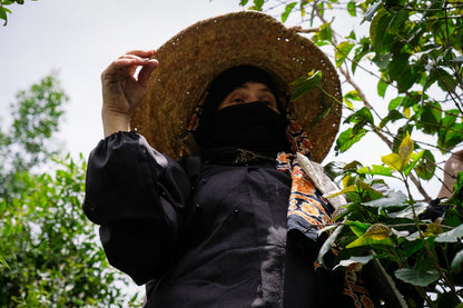 Yemenia & Kent | Rarities