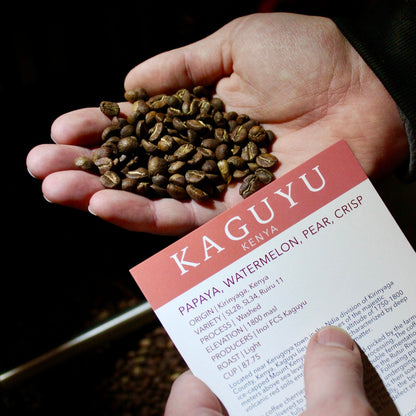 Kaguyu | Single Origin
