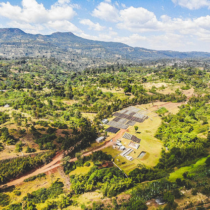 The Seraph | Ethiopia