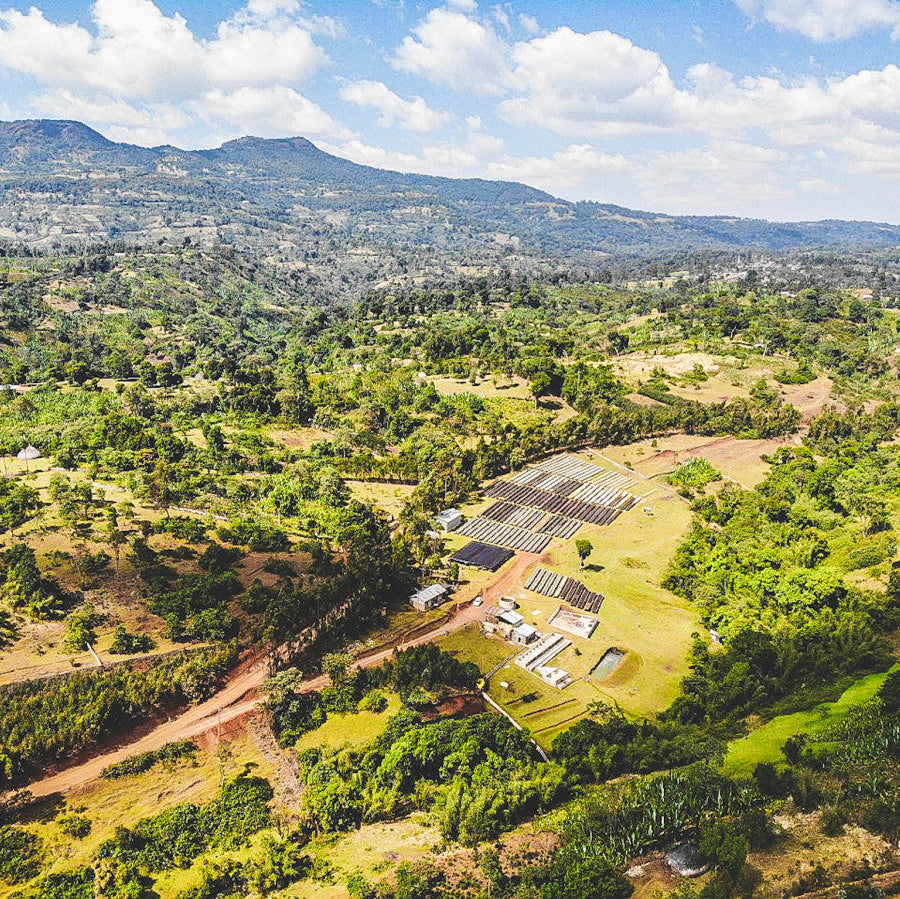 The Seraph | Ethiopia